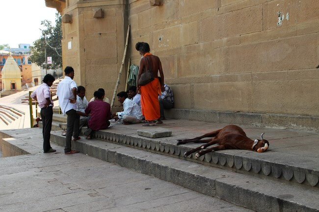 Imagenes de Varanasi, ciudad sagrada de la India