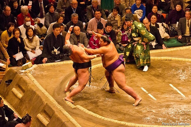Torneo sumo viaje japón