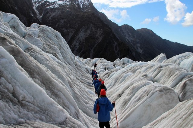 Excursión por Franz Josef glacier