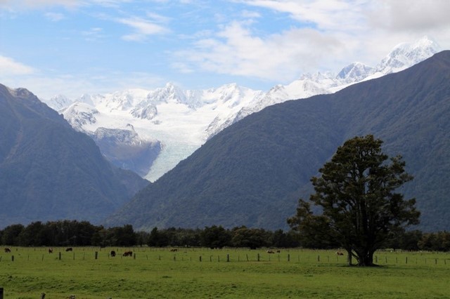 Fox Glacier en Nueva Zelanda