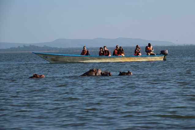 Hipopótamos Lago Naivasha