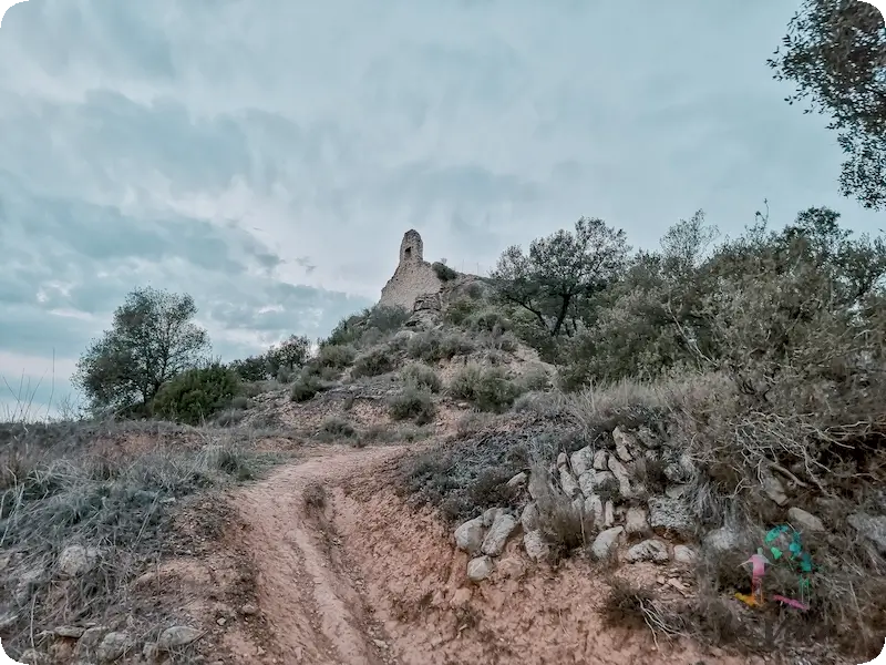 Foto del Castillo Rocafort Barcelona, solo se ven los restos de una torre