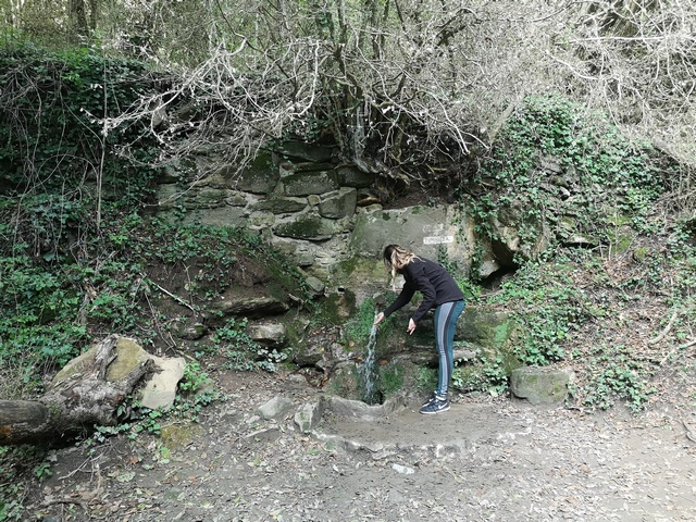 Font de la Pomareda