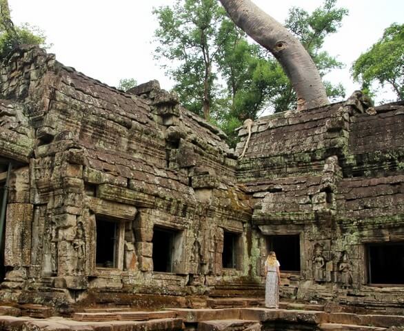 Ta Prohm, Angkor