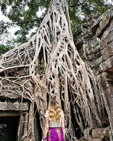 Raices de Angkor