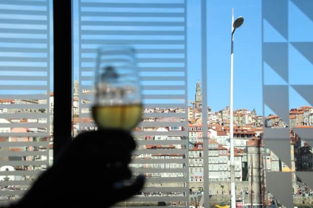 Vistas de Oporto desde Bodegas Porto Cruz