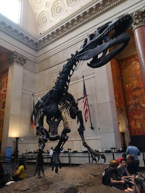 Museo de Historia Natural Nueva York t-rex