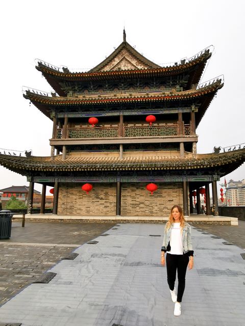 Gran Pagoda Ganso Salvaje Xian
