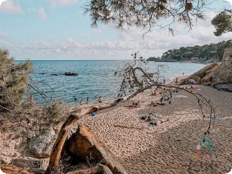 Cala Forn Sant Antoni Calonge