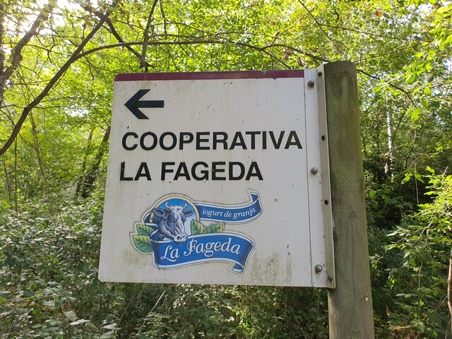 Cooperativa La Fageda