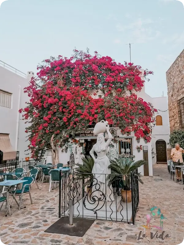 La Mojaquera en Mojácar