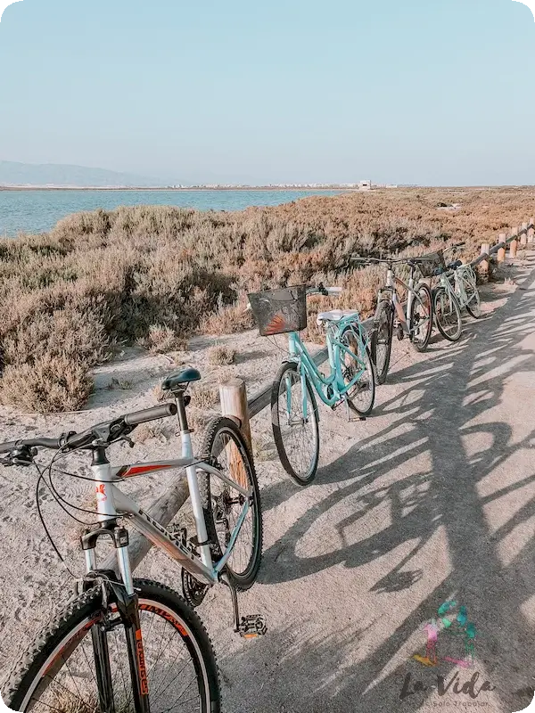 Alquiler de bicicletas en Roquetas de Mar