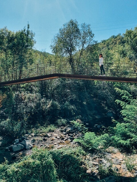 Antiguo puente sobre el rio Toronell  Castellfollit