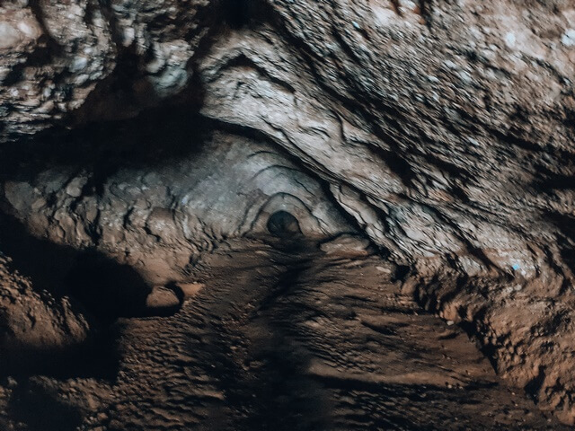 Interior Cova Simanya