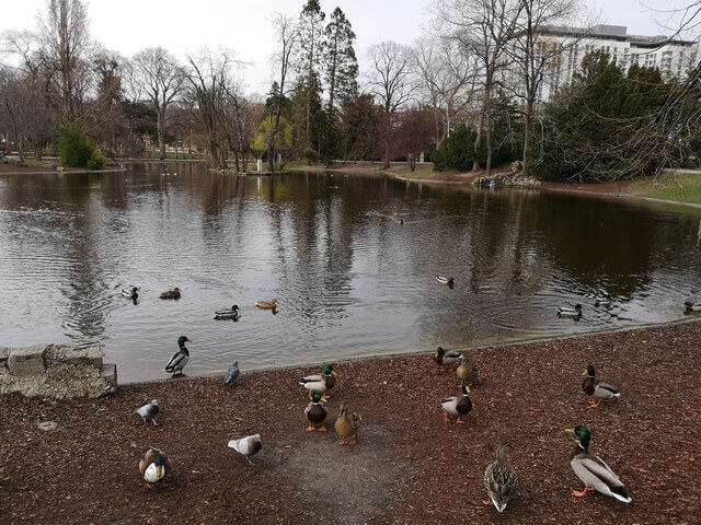 Stadtpark Viena
