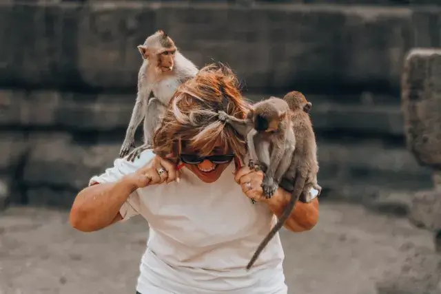 Templo de los monos viaje Tailandia