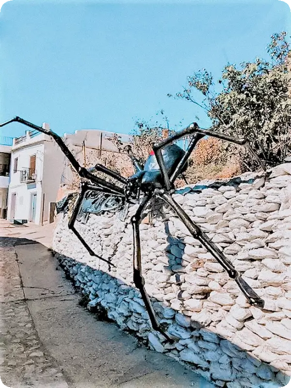 Araña tejedora de sueños