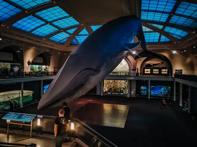 Museo de Historia Natural Nueva York