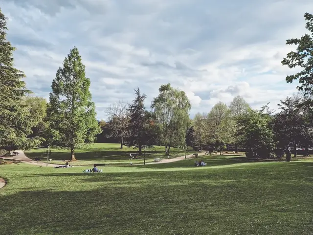 Foto del verde en Parque de los Pueblos de Europa Gernika