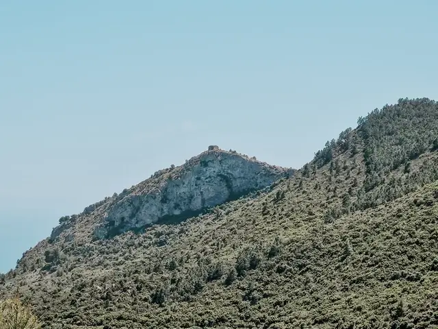 Castillo Desierto de las Palmas