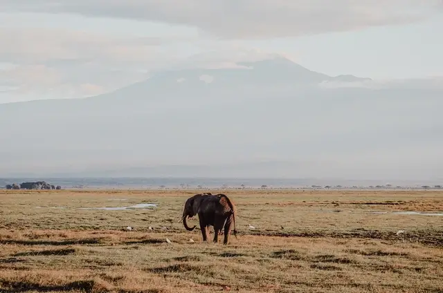 Parque nacional de Amboseli