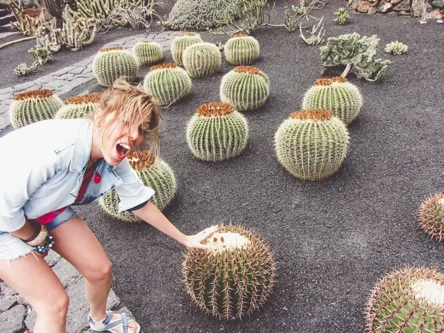 Visitando Jardín Cactus Lanzarote