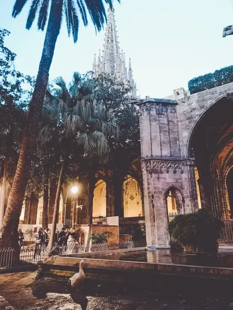 Claustro Catedral de Barcelona
