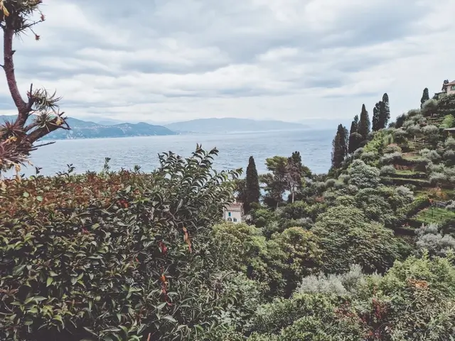 Vistas desde el Castello de Brown Portofino