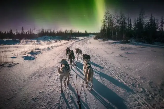 Aurora Boreal Laponia en navidad