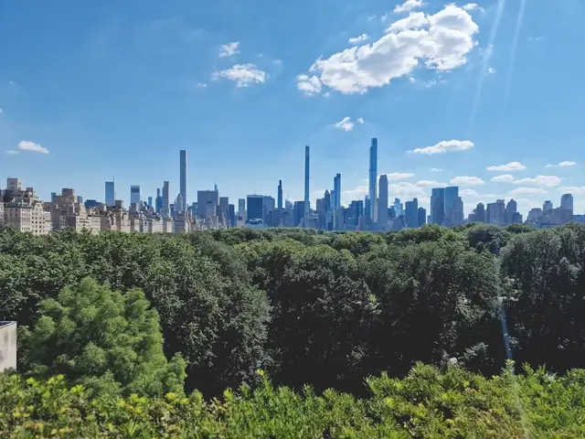 Visitas de Central Park desde el MET Museo Metropolitano de Arte de Nueva York