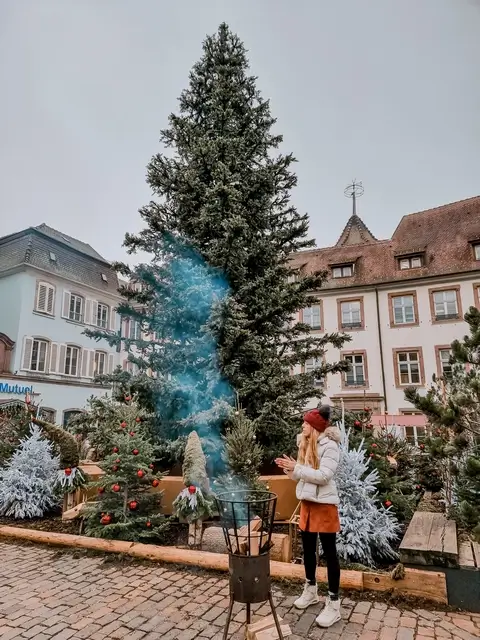 Mercado de los Avetos Navidad Sélestat Alsacia