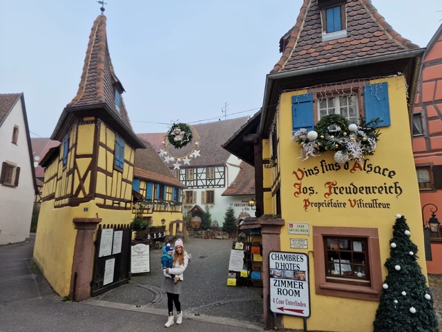 Qué ver en Eguisheim Alsacia- bodegas de vino Alsacia