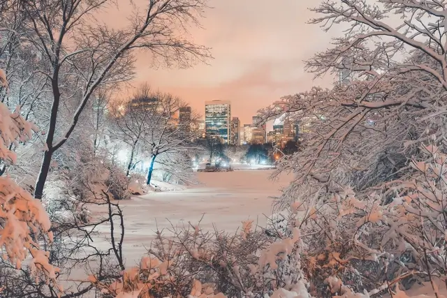 Viajar a Nueva York en invierno - Central Park