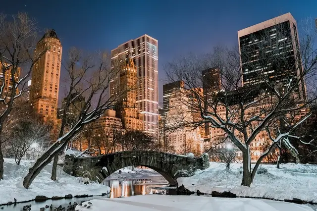 Viajar a Nueva York en invierno - Central Park nevado