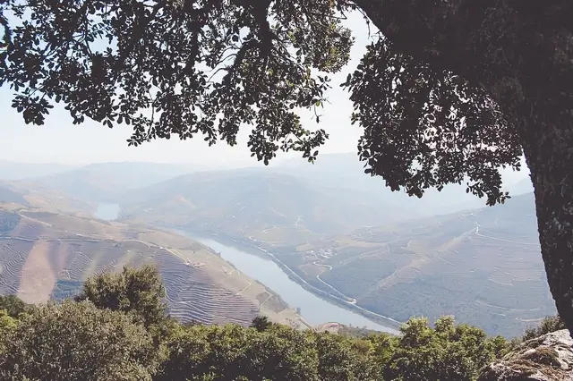 Que ver en Portugal - Valle del Douro