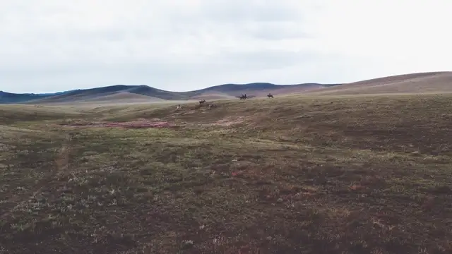 Qué ver en Mongolia - Hustai National Park