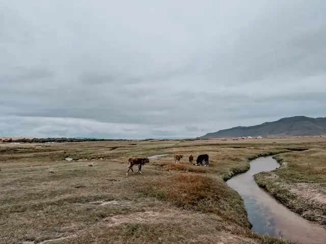 Qué ver en Mongolia - paisajes Valle de Orkhon