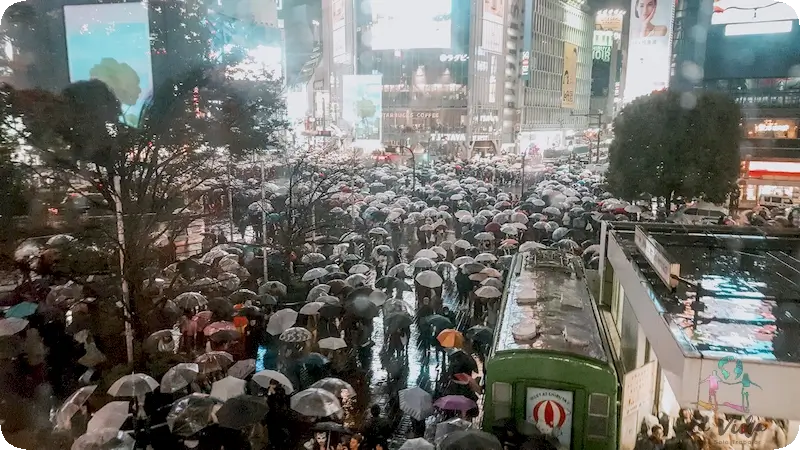 Shibuya paso de cebra en dia de lluvia