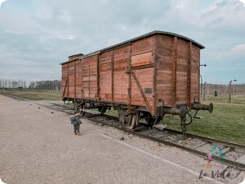 Excursión a Auschwitz - Birkenau 