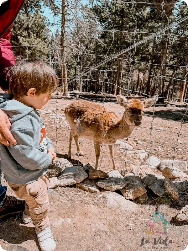 Parc Animalier Les Angles, Sur de Francia