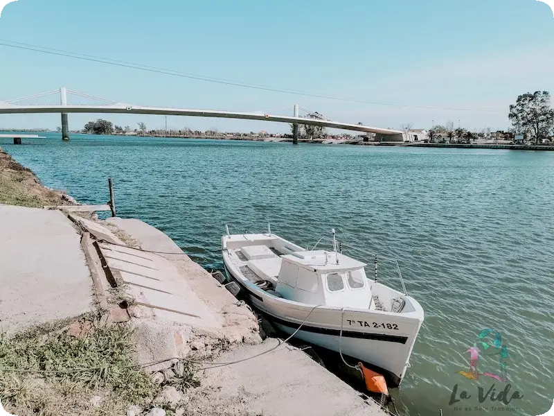 Rio Ebro por su paso por Amposta. Pont Penjat al fondo