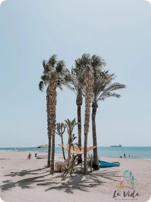 playa palmeras Carboneras