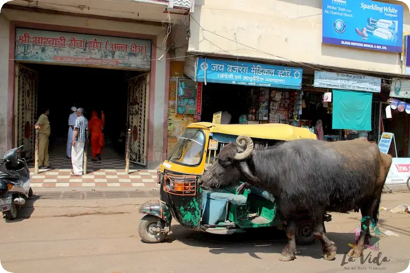 Paseando por Varanasi, la India auténtica