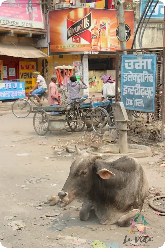 Varanasi o Benarés la India 