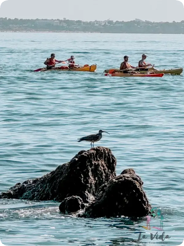 Actividades acuáticas en Lagos