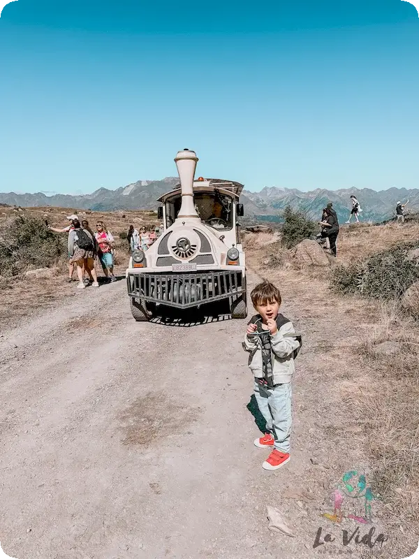 Tren Valle de Tena, junto a Lacuniacha