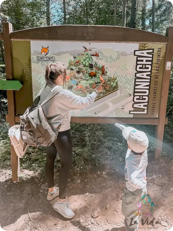 Visita a Lacuniacha