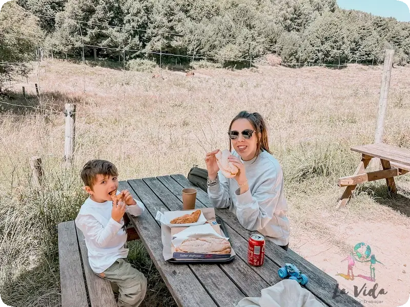 Zona picnic en Lacuniacha