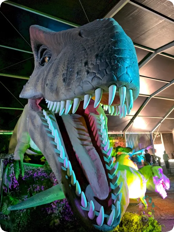 Trex de 15 metros