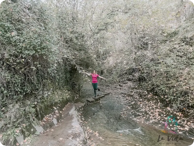 Camino al Salt de Sallent